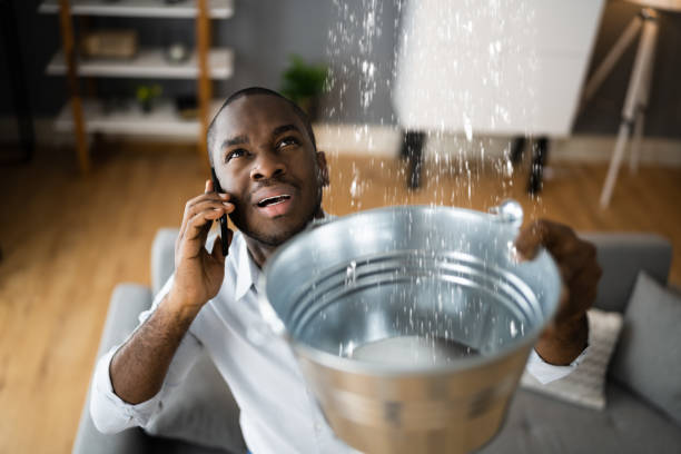 Best Water damage restoration experts  in Sullivan Gardens, TN