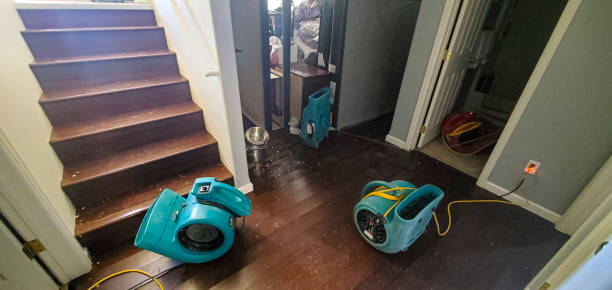 Best Mold removal after water damage  in Sullivan Gardens, TN