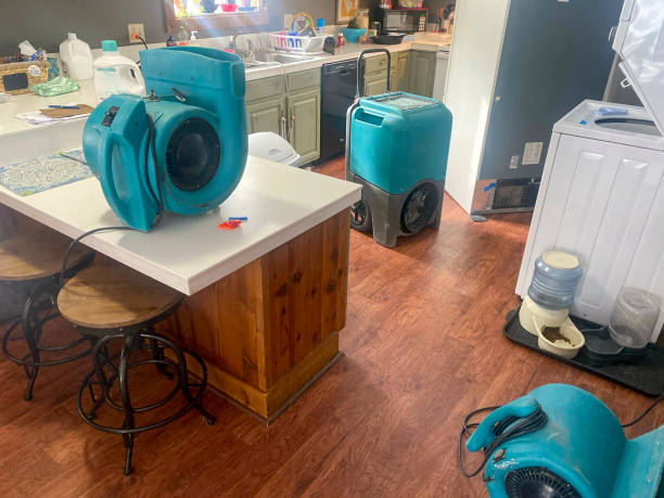 Best Water damage cleanup near me  in Sullivan Gardens, TN