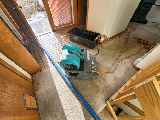 Best Water damage contractors near me  in Sullivan Gardens, TN