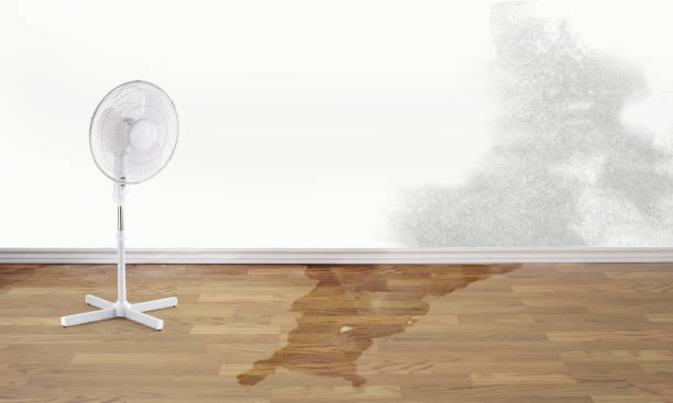 Best Water damage cleanup near me  in Sullivan Gardens, TN