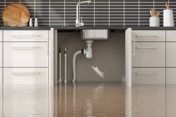 Best Commercial water damage restoration  in Sullivan Gardens, TN