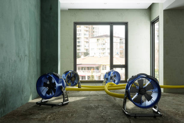 Best Water damage restoration near me  in Sullivan Gardens, TN