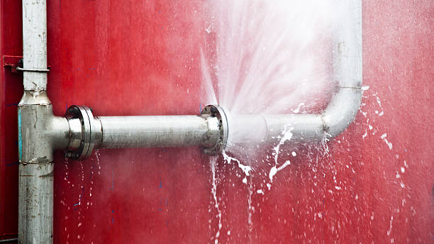 Best Water damage restoration services  in Sullivan Gardens, TN